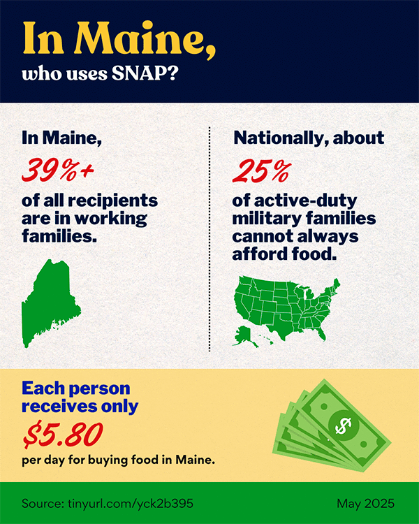 In Maine, who uses Snap?